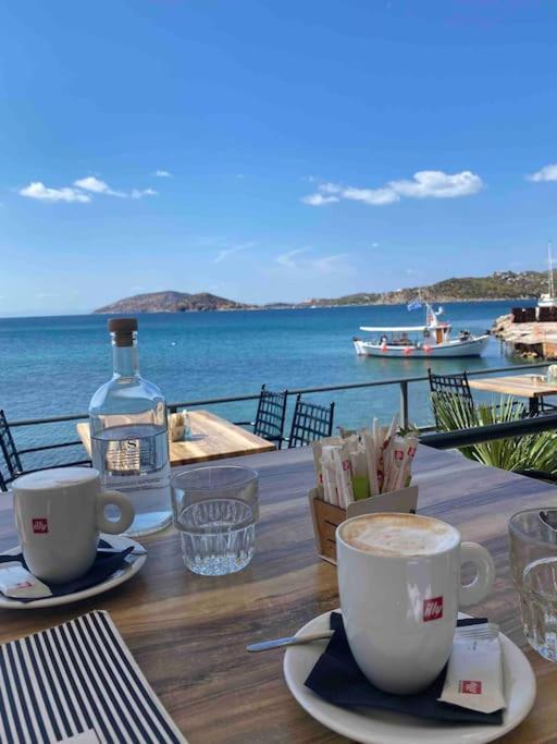 Riviera Beach, Seaside Spacious Apt. Anavyssos Exterior foto
